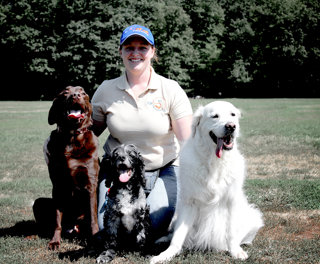 K9 to 5 Dog Services
